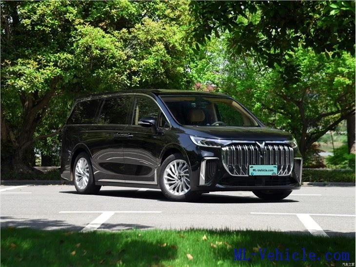 2023 New VOYAH Dreamer PHEV (Hybrid)