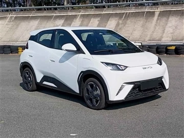 BYD-Möwe