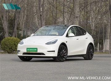 Tesla New OTA: Unterstützung für die Anpassung der regenerativen Bremsintensität