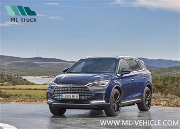 BYD bringt fünf Elektrofahrzeuge in Frankreich auf den Markt