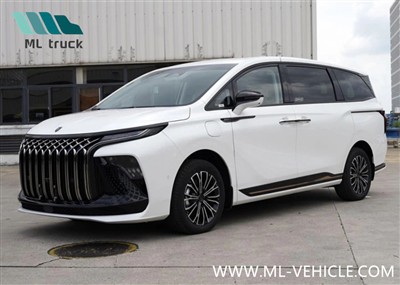 Erkundung der Münchner Automobilausstellung 2023: DongFeng Forthings brandneu...