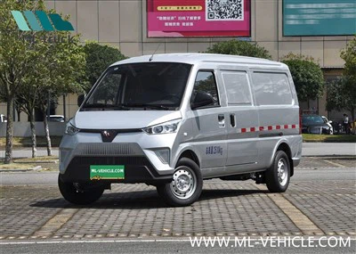 WuLing EV 50