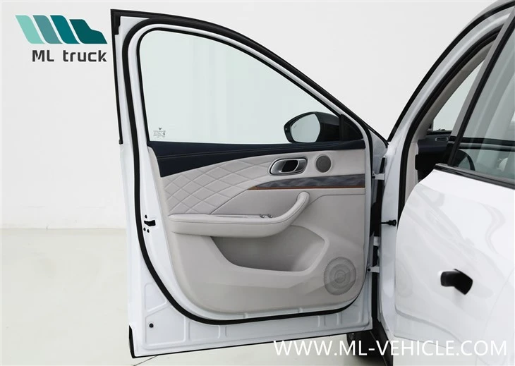 2024 NETA L Reev SUV